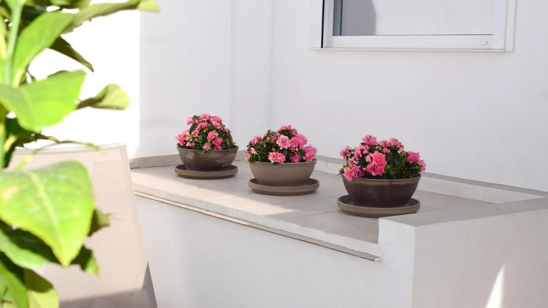 Sevilla Dostorres Guest house Seville